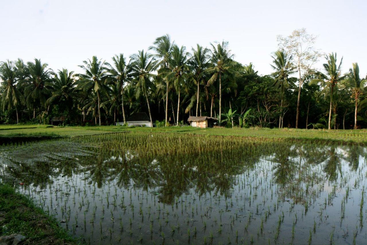 Artist Eco Villa In Ubud  Luaran gambar