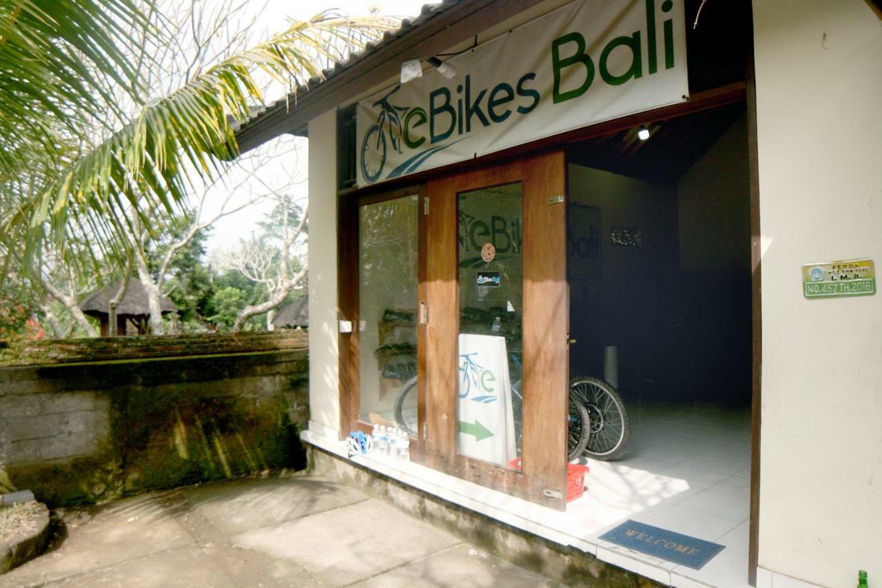 Artist Eco Villa In Ubud  Luaran gambar
